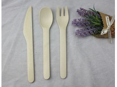 Cutlery for adult